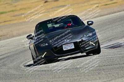 media/May-24-2025-Turn8 Trackdays (Sat) [[034586b55d]]/4 Inter 2/Session 2 (Cotton Corners-Grapevine)/